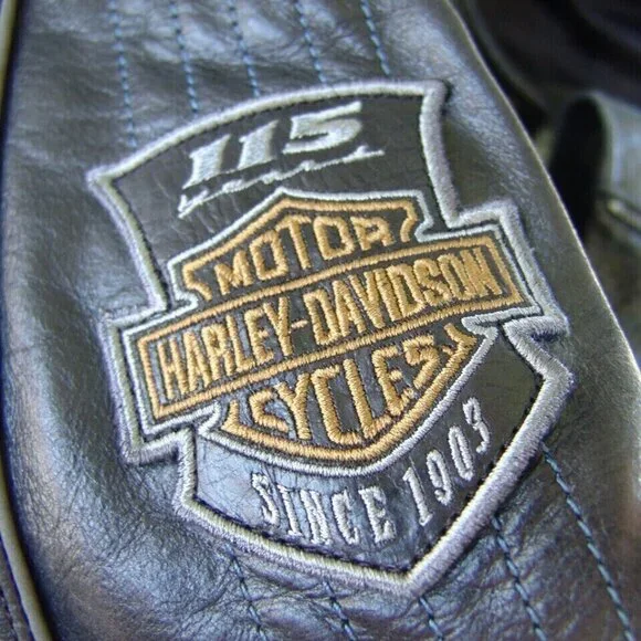 MEN'S AUTHENTIC HARLEY DAVIDSON 115th ANNIVERSARY EAGLE LEATHER JACKET X LRG EUC - Picture 7 of 9